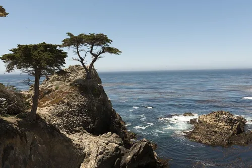 Historic Pictoric Foto del condado de Monterey, CA - Vista del ciprés solitario desde 17 Mile Drive, una carretera escénica a través de Pacific