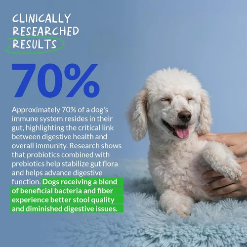 Miniatura 4 de Probióticos para perros - Apoyo digestivo y diarrea - 90 masticables suaves - Formulado por veterinarios - Salud intestinal y apoyo inmunológico