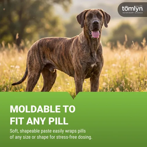 Miniatura 4 de TOMLYN Pill-Masker - Pasta aromatizada de tocino original para perros y gatos, 4 onzas
