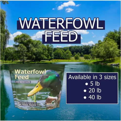 Miniatura 9 de Natural Waterscapes Alimento flotante para aves acuáticas (5 libras) para patos salvajes, patos de mascotas, gansos, cisnes