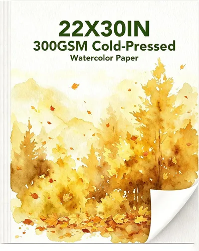 30 hojas de papel de acuarela grande, papel de color de agua de prensa en frío de 22 x 30 pulgadas, 300 GSM, suministros de arte en blanco pesados