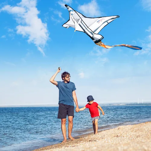 Miniatura 6 de JOYIN Cometa de playa grande para juegos y actividades al aire libre