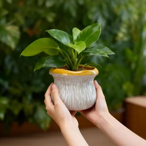 Miniatura 7 de Paquete de 2 macetas de cerámica con orificio de drenaje, macetas texturizadas de dos tonos para plantas de interior y exterior, pequeñas macetas