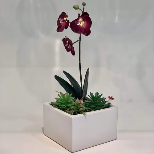Miniatura 4 de WGV - Jarrón de cerámica con bloque a granel, ancho de 6 pulgadas, alto 4 pulgadas, elegante maceta cuadrada corta, floral, terrario, cómoda