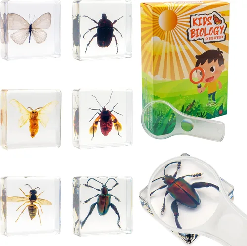 Miniatura 10 de Juego de muestras de insectos, colección de insectos, regalo educativo científico para niños de 3 a 8 a 12 años