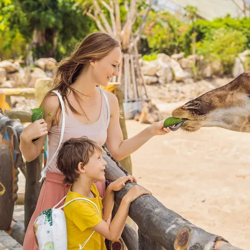 Miniatura 5 de Ferraycle Bolsas con cordón de safari de animales, regalos de selva, regalos de fiesta, vida silvestre, bolsas de golosinas para vacaciones