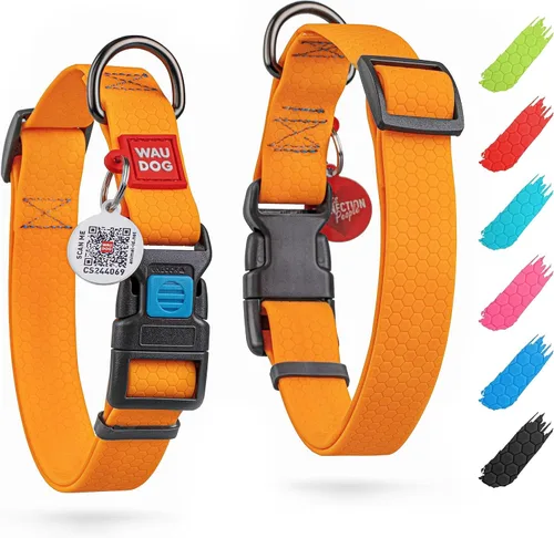 Miniatura 23 de WAUDOG Collar de Perro Impermeable - Collar de Perro Ajustable para Perros Grandes, Pequeños y Medianos - Collar de Perro Desmontable Impermeable