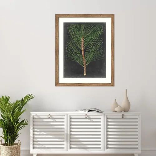 Miniatura 5 de Amanti Art Impresión artística enmarcada para pared, 44 x 36 pulgadas, dramático pino I de Vision Studio, arte de pared de naturaleza, decoración