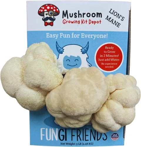Kit de cultivo de hongos melena de león (5 libras) | Betty The Yeti | Apto para principiantes y fácil de usar | Hecho a mano en Estados Unidos
