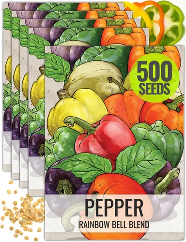 Seed Needs Semillas de pimiento arcoíris para plantar pimientos suaves, semillas de verduras sin OMG y sin tratar para plantar un huerto al aire