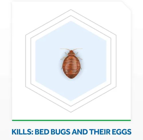 Miniatura 3 de Raid Max Bed Bug Protección extendida, mata las chinches durante 8 semanas en maderas y superficies laminadas, 22 onzas