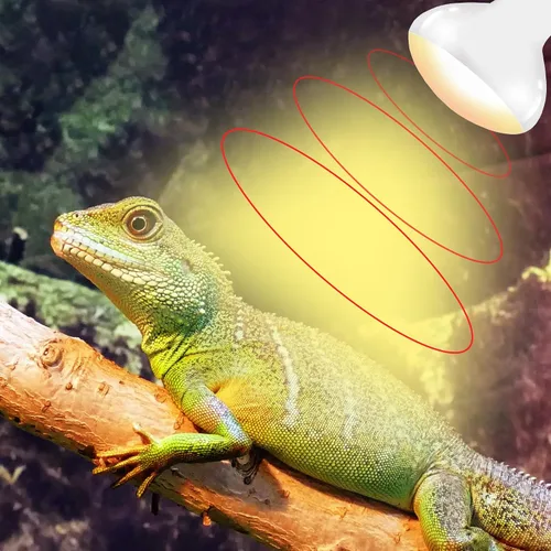 Miniatura 6 de Bombillas de lámpara de calor para reptiles E26 de 60 W, luz UVA mejorada para dragón barbudo, lagarto, tortuga, pollitos y anfibios, luz solar