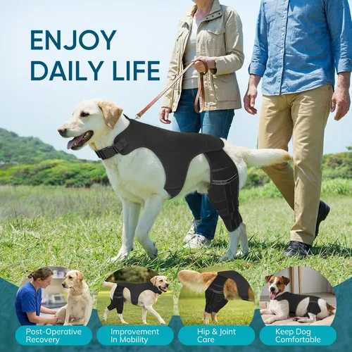 Miniatura 7 de Rodillera ajustable para perro para recuperación de desgarro y artritis del ligamento cruzado anterior - Soporte de patas traseras dobles