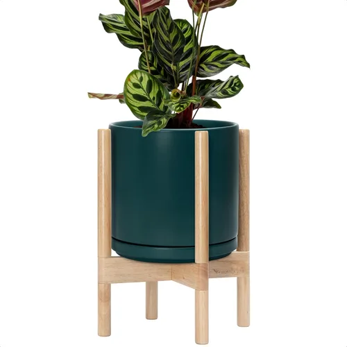 Miniatura 30 de D'vine Dev Maceta de cerámica con soporte de ébano – Maceta redonda moderna de 8 pulgadas con soporte para maceta de madera, color negro, 55-B-M-2