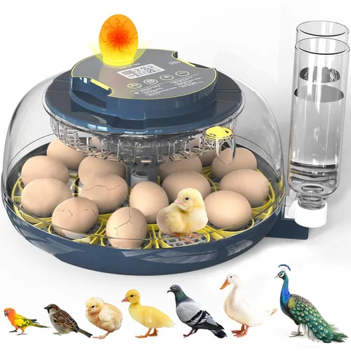 Incubadoras para incubar huevos, incubadora de 18 huevos con vela de huevos, girador automático de huevos, control de temperatura y humedad, día de