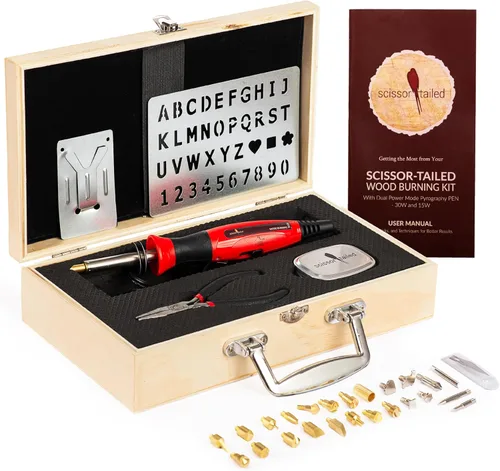 Kit de quemado de madera de alta calidad, 43 piezas, modo de potencia doble, herramienta de quemador de madera con 36 puntas y accesorios, todo en