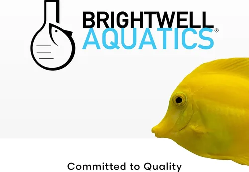 Miniatura 7 de Brightwell Aquatics Caridina GH+ Suplemento mineral restaura el sodio de calcio, magnesio y potasio en agua suave RO/DI para la cría de camarones