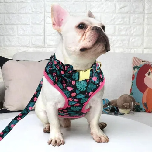 Miniatura 5 de Beirui Collares, arneses y correas lindos para perritas, conjunto - Collar y correa ajustable para perros con flores - Arnés de malla suave