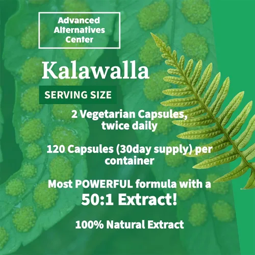 Miniatura 7 de (Calaguala) con Polypodium Leucotomos para el apoyo del sistema inmunológico, extracto 50:1 de mayor potencia 400 mg (120 cápsulas vegetales)