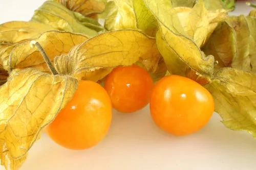 Miniatura 3 de Más de 200 Semillas Fresa Cereza Molida - Physalis - Naranja Vegetal