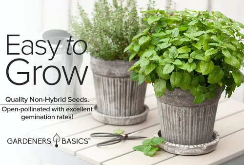 Miniatura 3 de Gardeners Basics Semillas de bálsamo de limón para plantar hierbas, (Melissa Officinalis) en interiores y exteriores, variedad de hierbas