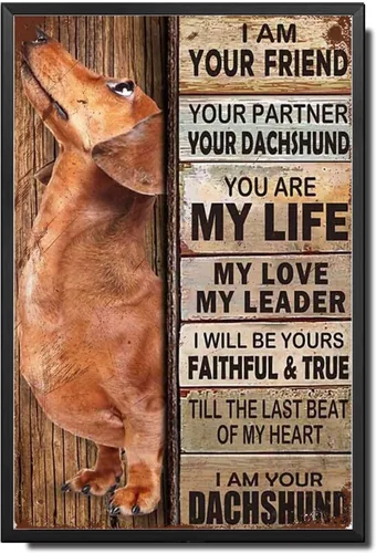 Miniatura 9 de Letrero de Metal Letrero de Hojalata Arte de Pared Vintage I Am Your Friend Regalo para Amantes de Schnauzer Arte de Pared Vintage Impresiones