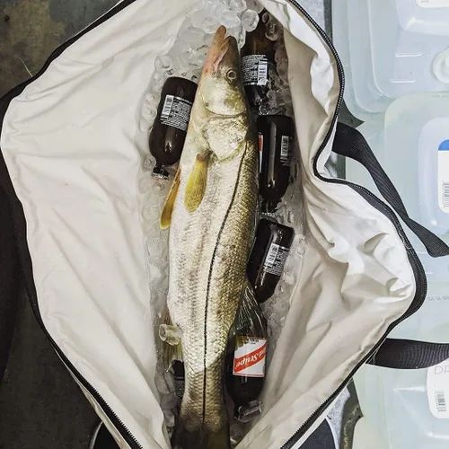 Miniatura 7 de Bolsa enfriadora térmica Buffalo Gear para peces, 40x18 pulgadas 48x18 pulgadas, a prueba de fugas, bolsa portátil impermeable, mantiene el hielo