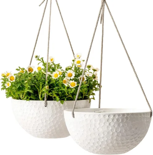 LA JOLIE MUSE Macetas colgantes de 10 pulgadas para plantas de interior, macetas de jardín al aire libre, color blanco, panal de abeja, juego de 2