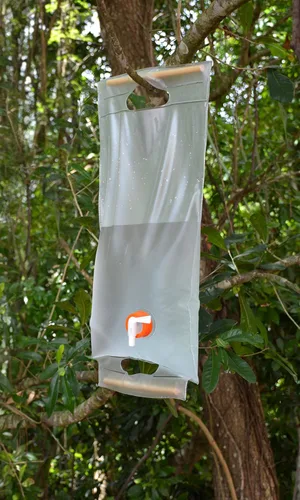 Miniatura 5 de ust Transportador de agua plegable enrollable de 10 litros con asas de madera y sin BPA, construcción transparente para beber, bañarse, acampar