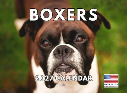 Miniatura 118 de Calendario de pared mensual 2025 Great Dane de 12 meses, fabricado en Estados Unidos