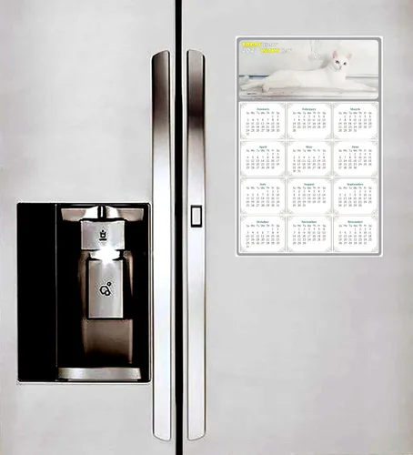 Miniatura 4 de Calendario magnético 2025 – Imanes del calendario – Today is my Lucky Day – Resistente a la decoloración, desgarros y agua – Temática de gato 06