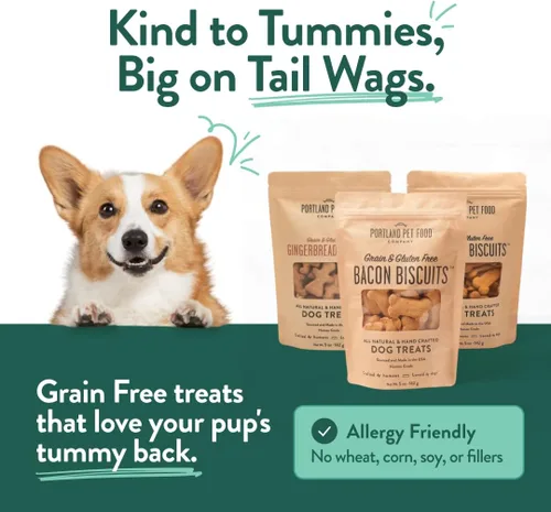 Miniatura 4 de Portland Pet Food Company - Golosinas naturales para perros, variedad de galletas de calabaza y pan de jengibre y tocino para perros, sin granos