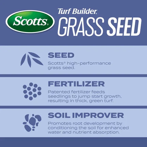 Miniatura 3 de Scotts Turf Builder Semillas de césped resistentes al calor, variedad Blue Mix para céspedes de festuca alta con fertilizante y mejorador de suelo