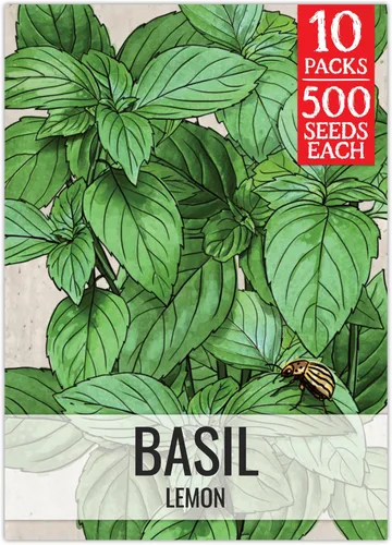 Miniatura 22 de Seed Needs Semillas de albahaca para plantar hierbas de albahaca tailandesa, sin OMG y semillas de hierbas sin tratar para cultivar un jardín