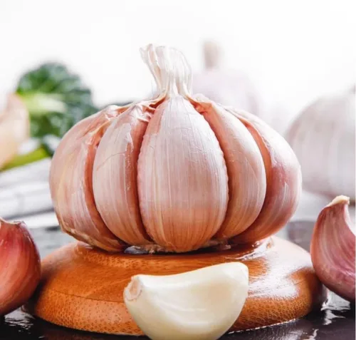 Miniatura 4 de 1 Libra de Ajo Duro de Cuello para Plantar en Otoño, Bulbo de Ajo Grande para Plantar, Fresco y Alta Rendimiento, Resistente al Frío, Plantación