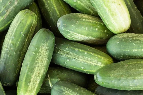 Miniatura 7 de Semillas de pepino de Carolina para plantar, más de 100 semillas tradicionales por paquete, semillas de jardín de Isla (semillas de jardín de Isla)