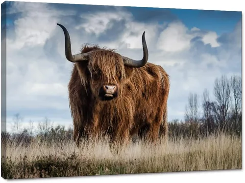 Miniatura 11 de Póster moderno de pared de vaca de las tierras altas, póster impreso en lienzo alpino desierto, decoración de pared de animales para sala de estar