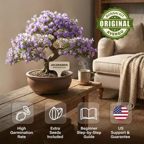 Miniatura 4 de Kit de inicio de Bonsái – Cultivo de Jacaranda Bonzai Kit completo de árbol interior para cultivar plantas con herramientas y maceta – Regalos