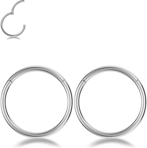 Miniatura 8 de Nose Rings Hoop and Nose Studs Sets for Women Men,Hypoallergenic 316L Surgical Stainless Steel Hinged Clicker Segment Nose Rings Hoop Helix