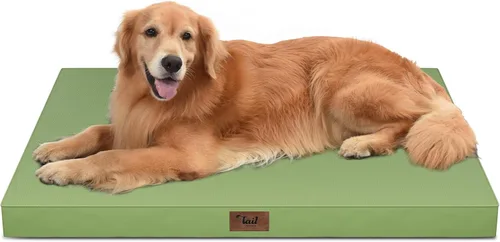 Miniatura 99 de Cama ortopédica de felpa para perros y cachorros medianos, camas impermeables para perros de 30 x 20 pulgadas con funda extraíble lavable, tapete
