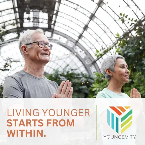 Miniatura 6 de Youngevity Ocutiv™ - Suplemento de vitaminas y minerales para los ojos - Contiene vitamina A, C, E, zinc, arándano, luteína, licopeno, zeaxantina