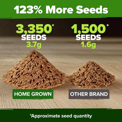 Miniatura 4 de HOME GROWN Semillas de zanahoria arcoíris 10 variadas 3350+ semillas tradicionales sin OMG para plantar, alta germinación, verduras de raíz gourmet