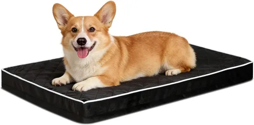 Miniatura 20 de NUPIDA Camas ortopédicas para perros pequeños, impermeables, con funda extraíble lavable y parte inferior antideslizante, cama acolchada para perros