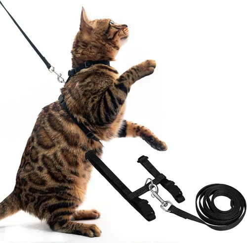PUPTECK Arnés Ajustable para Gatos y Juego de Correa a Prueba de Escape, Collar de Correa para Gatito para Caminar y Viajar, Negro