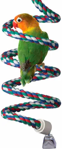 Miniatura 10 de Super Bird Creations SB324 colorido cuerda de algodón Bungee Bird juguete, tamaño mediano pájaro, 3/4" diámetro x 66