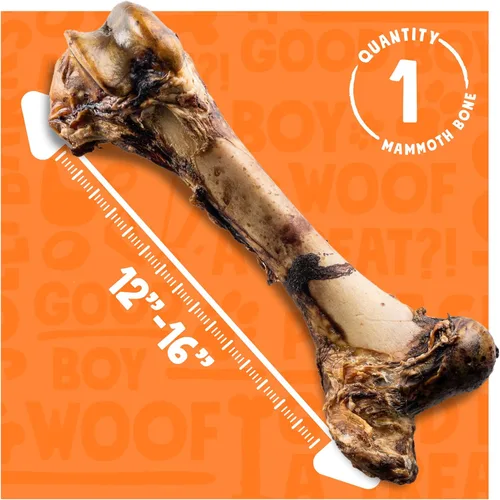 Miniatura 6 de Mammoth - Huesos grandes para perros grandes, huesos de carne de fémur de 16 pulgadas para masticadores agresivos, hueso de perro gigante natural