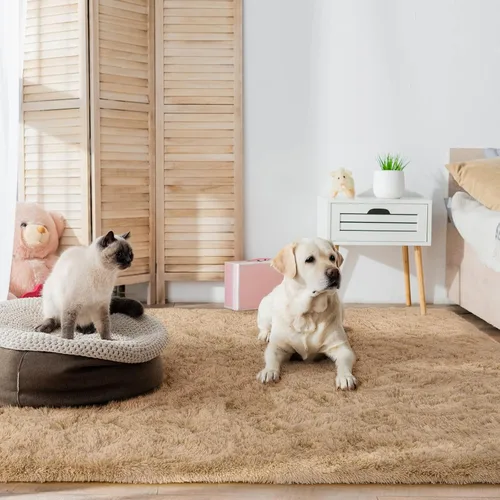 Miniatura 2 de HOMORE - Alfombras Beige Claro para Sala de Estar, Alfombra de Pelo Largo 5x7, Alfombra Esponjosa para Dormitorio, Alfombra Moderna Antideslizante