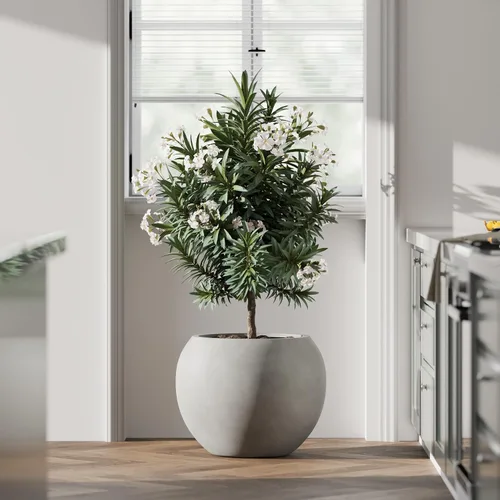 Miniatura 21 de DTY Fiberstone - Maceta tipo globo para interiores y exteriores, maceta esférica ligera para olivo, Monstera y palma, piedra de fibra de vidrio