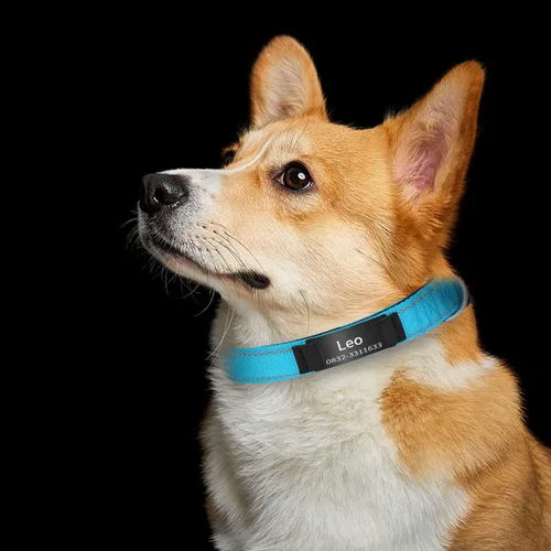 Miniatura 5 de Collares reflectantes personalizados para perro, collar de identificación de acero inoxidable grabado personalizado, collar de identificación