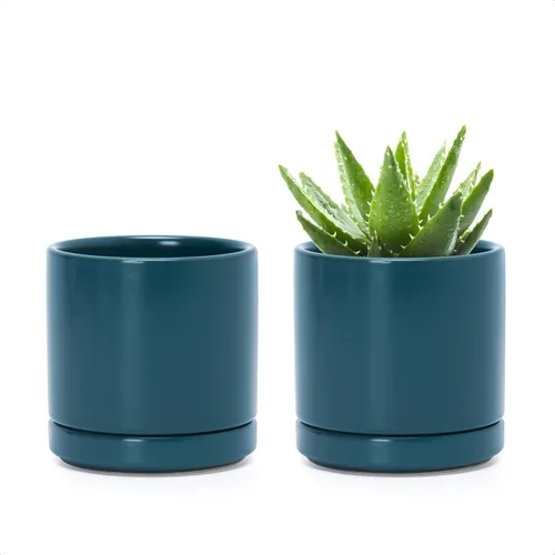 Miniatura 16 de D'vine Dev - Juego de 2 macetas de plantas de 3.5 pulgadas, maceta de cerámica para plantas con agujero de drenaje y platillo, negra, 94-V-A-2
